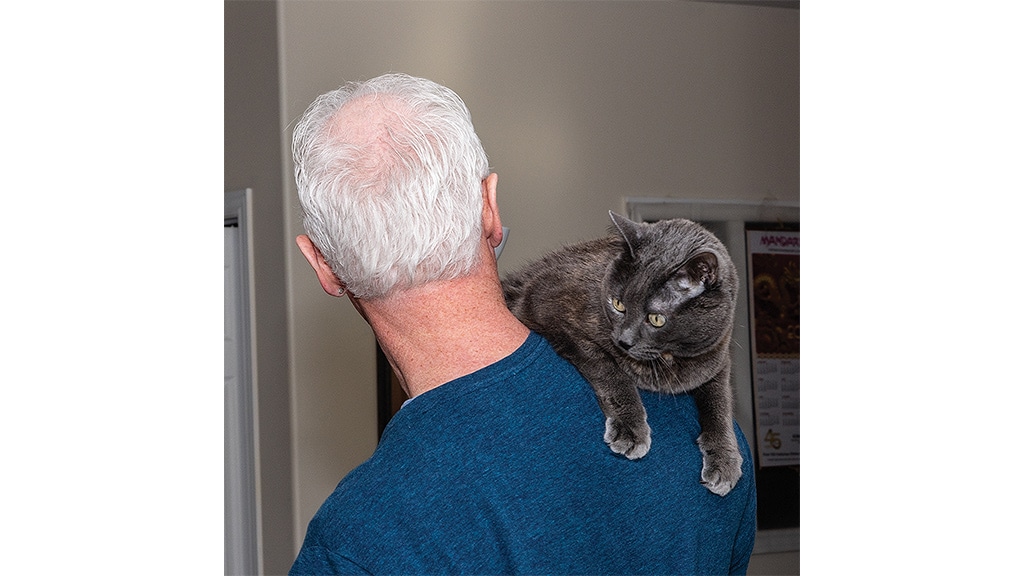 cat on a person's shoulder