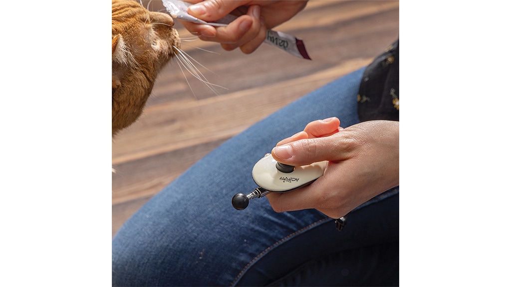 cat sniffing something in a person's hand and in the peron's other hand is a remote