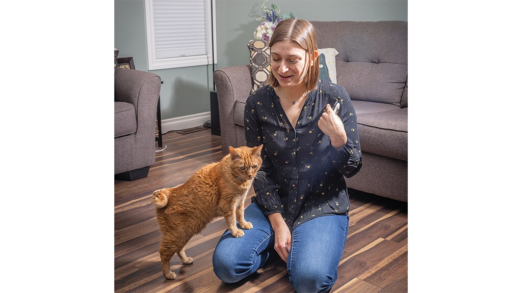 an orange cat standing on a person's leg who is kneeling down