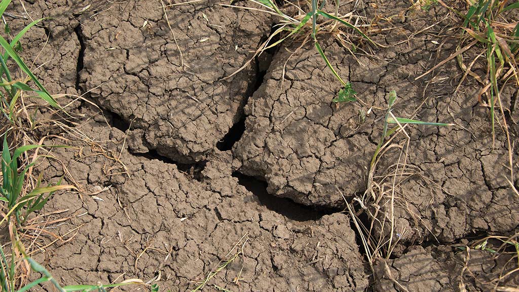closeup shot of cracked ground 