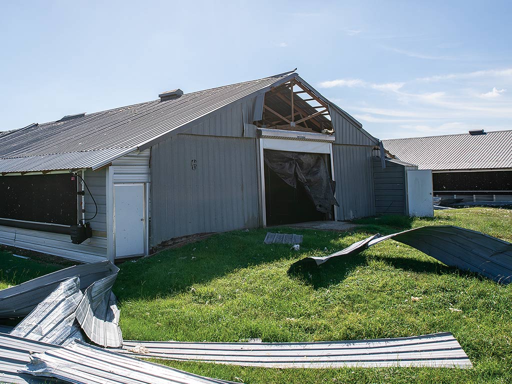 A farmhouse missing siding and roof panels with sheet metal strewn across the grass in the foreground