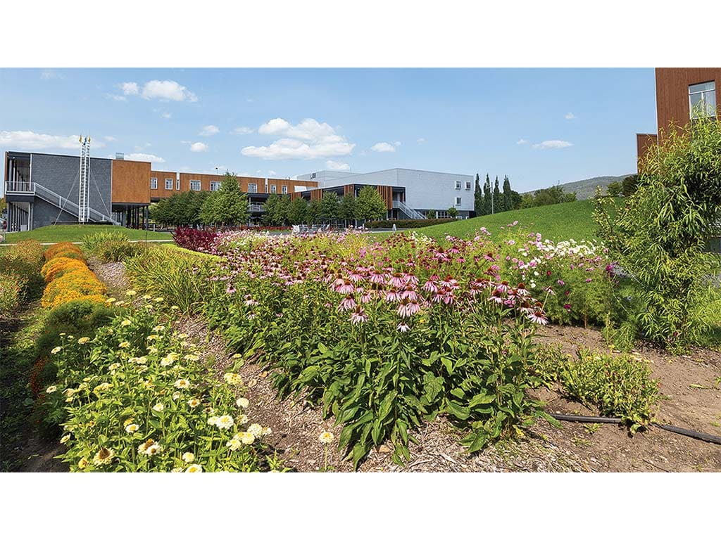 An expansive vegetable and herb garden with a large building in the background