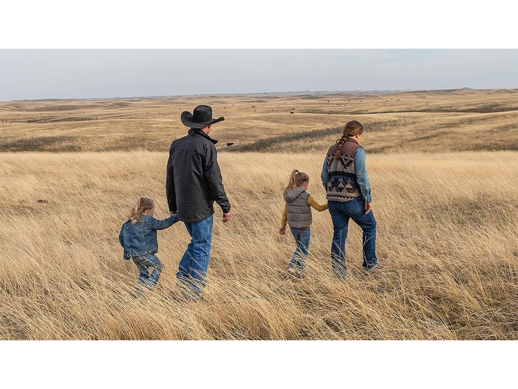 Back-view of a family of four, two adults and two young children, walking through a field.