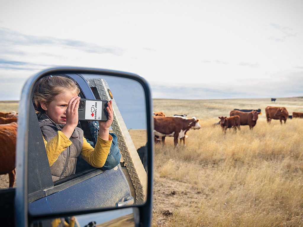 A view through a vehicle's side mirror of a young child taking a picture. Cows graze in the background.
