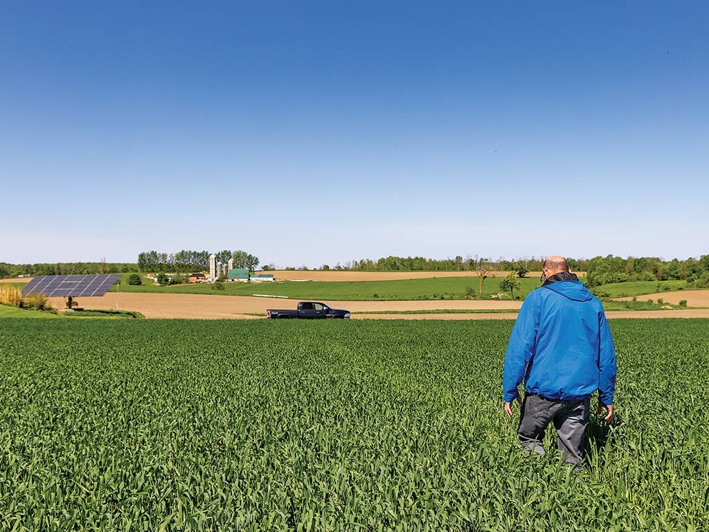 A farmer in a blue hooded jacket walking through a field of crops with a pickup truck and solar panels in the distance