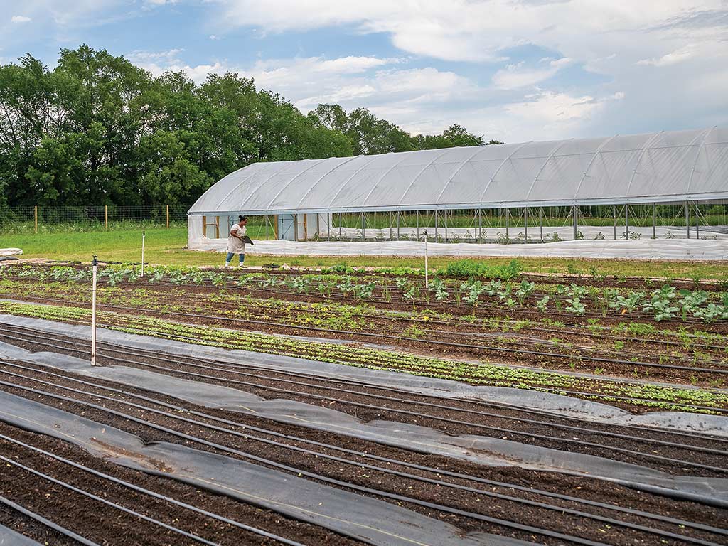 A wide view of a small farm property with a tented area and multiple rows of crops