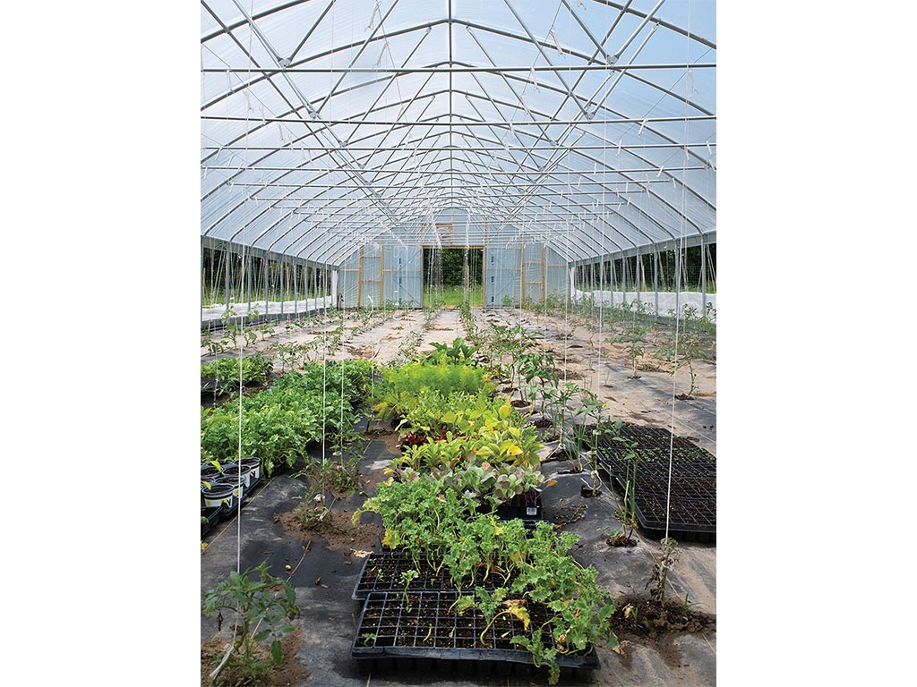 Long view of the tented farm area with various crops growing in different planters