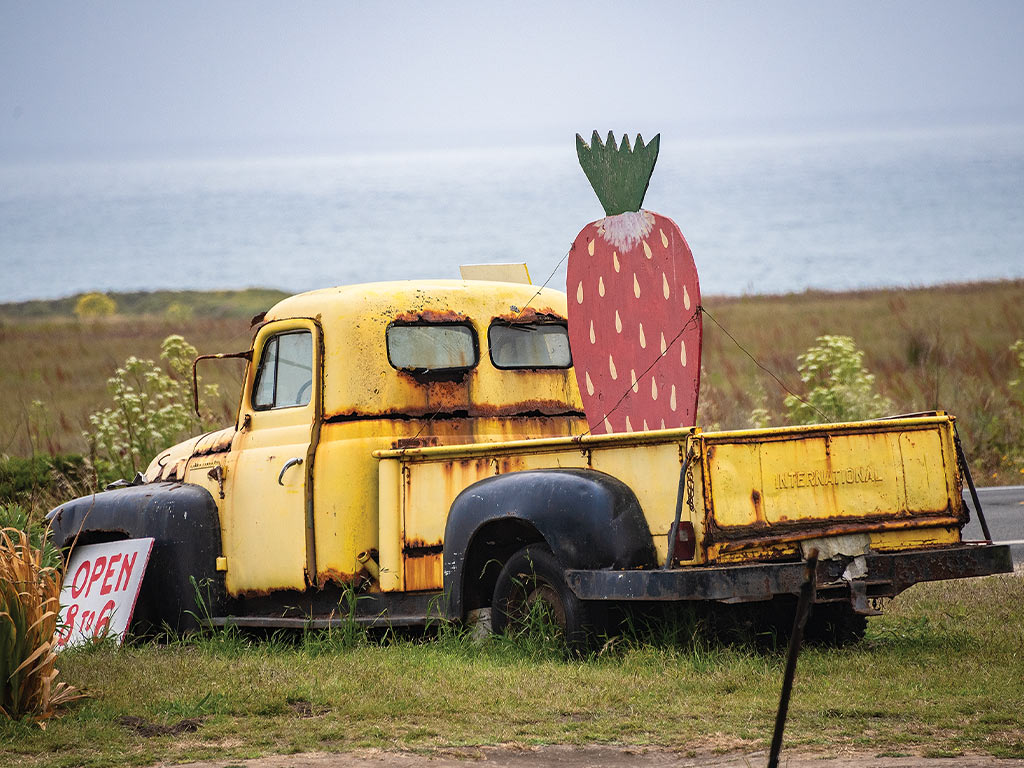 A rusty vintage yellow pickup truck in a field with a large strawberry sign in the truck bed