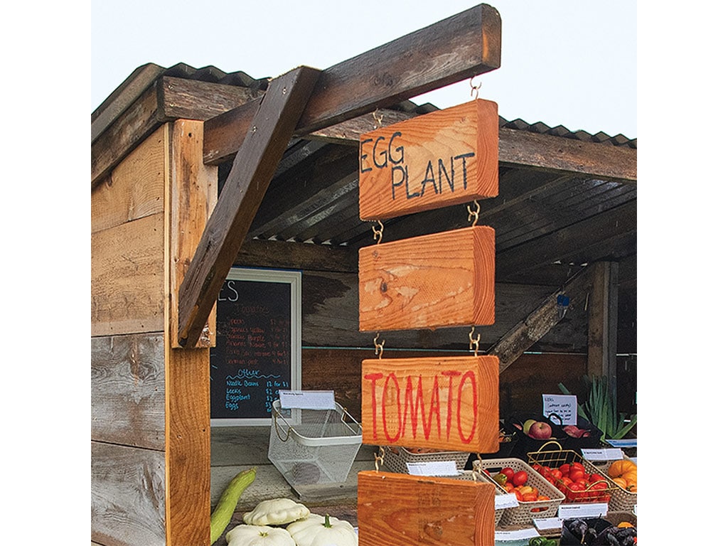 Rectangular wooden signs hanging in front of a store