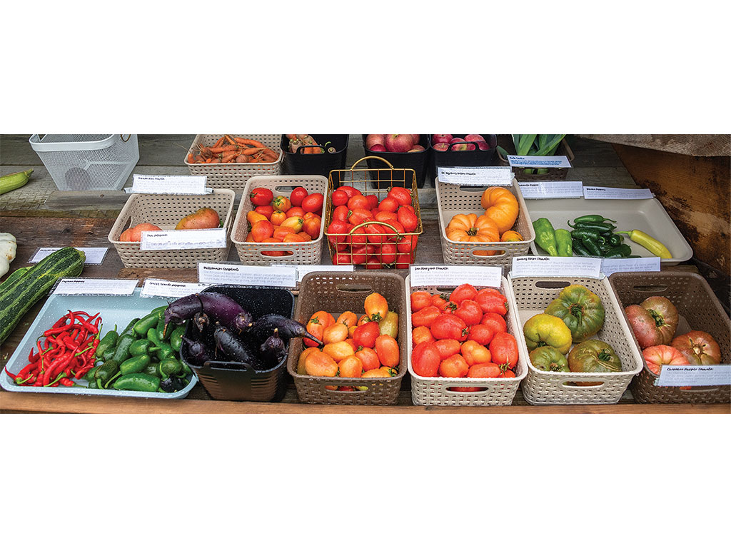 A table covered with containers of colorful vegetables