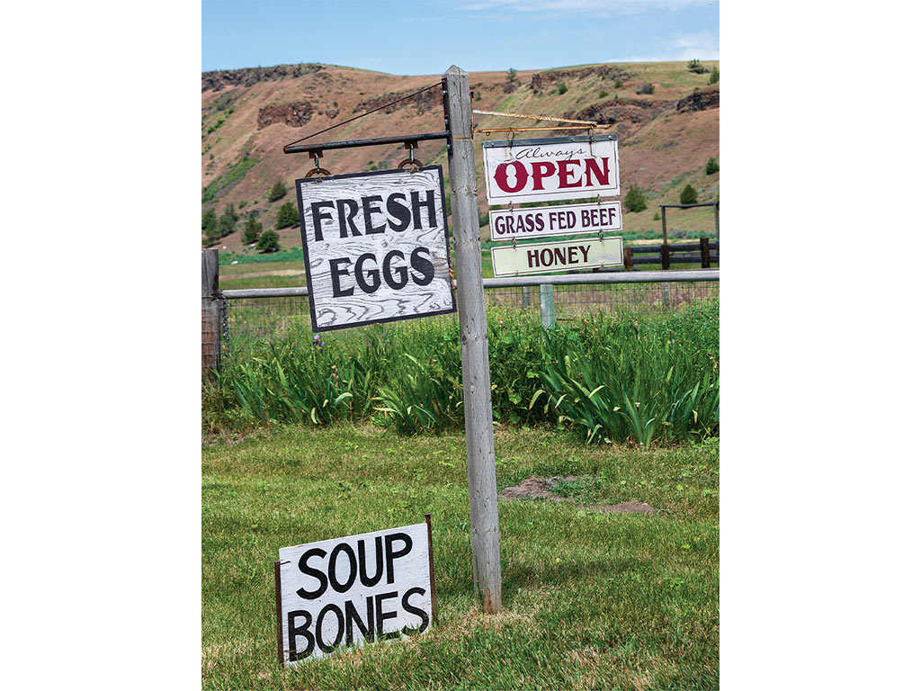 Several signs for the farmer's market saying fresh eggs, always open, grass fed beef, honey, and soup bones