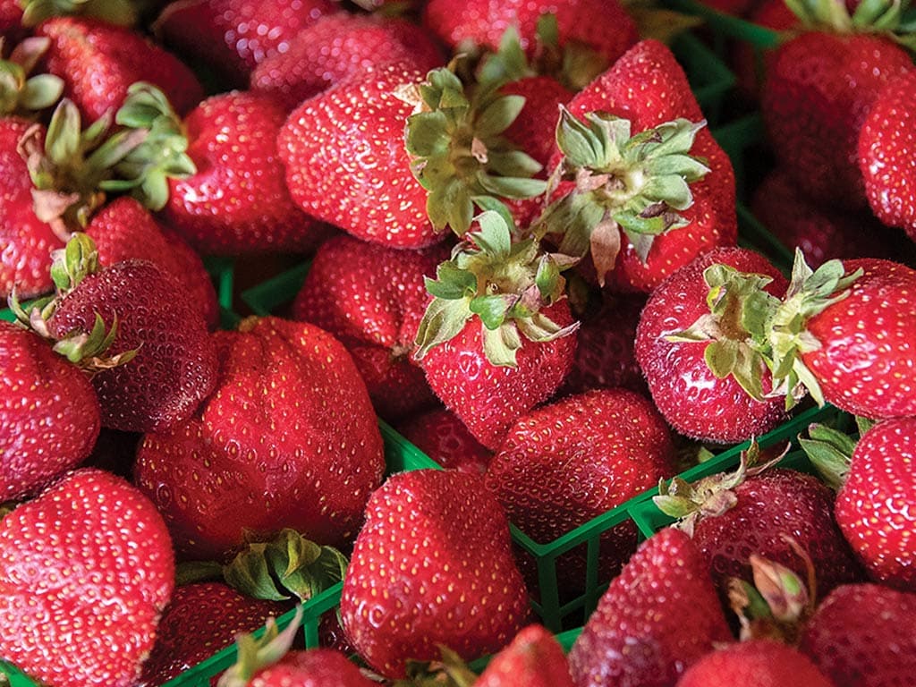 Closeup of strawberries