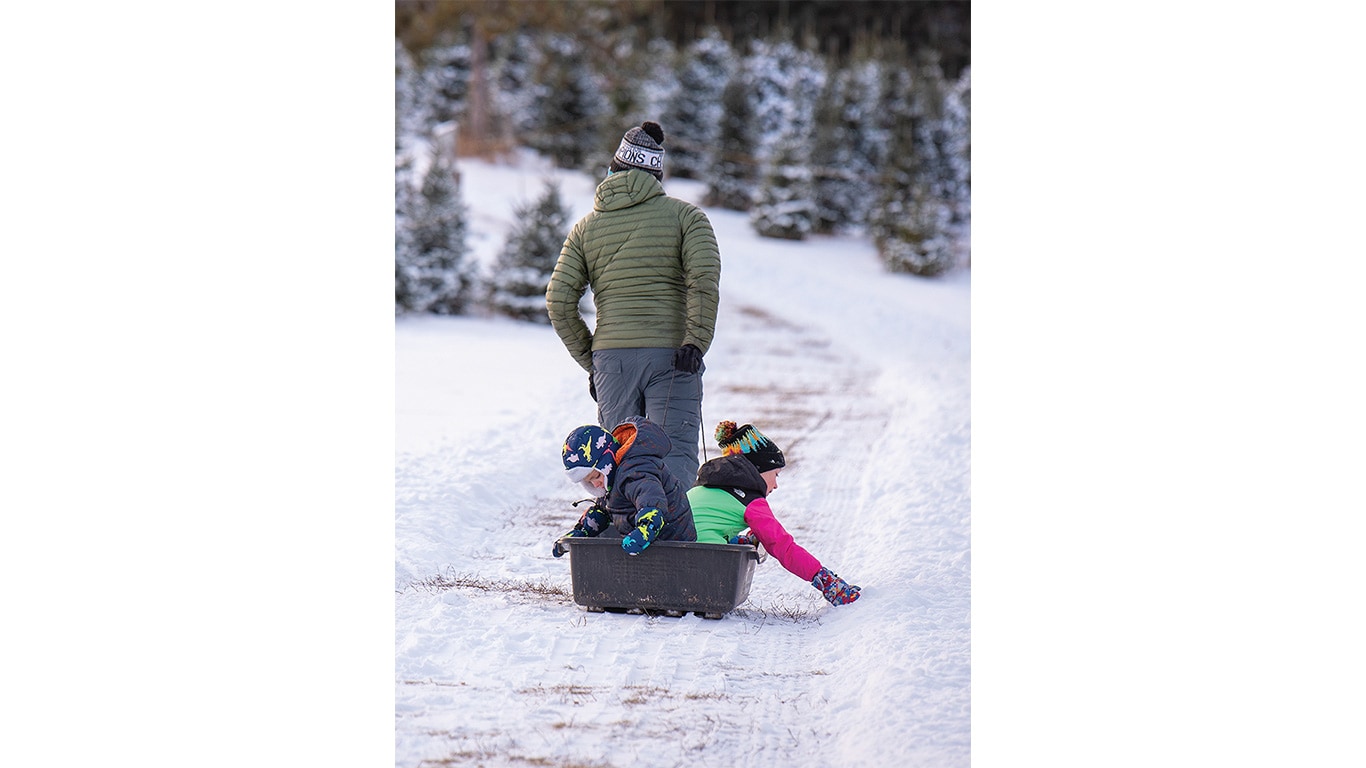 A parent pulling a sled with two children along a trail with rows of evergreen trees.