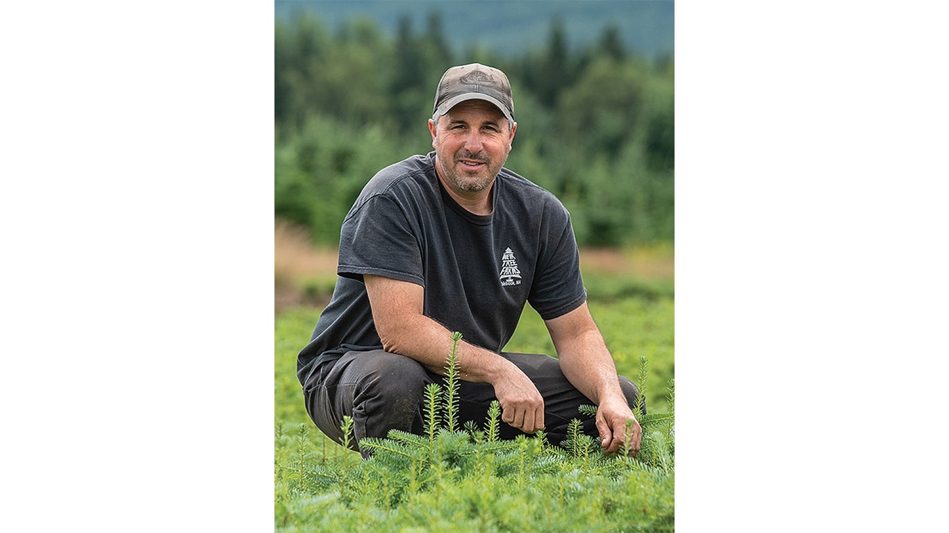 A worker crouching down to inspect fir seedlings.