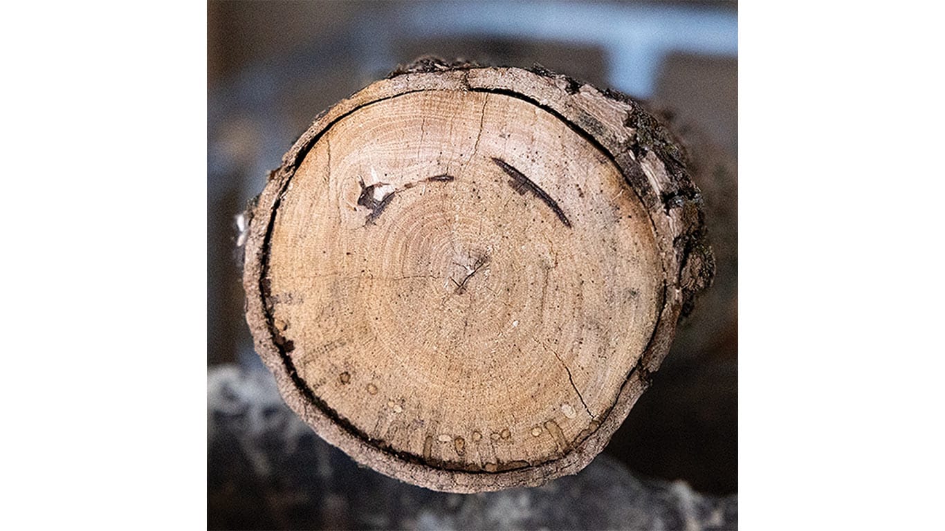 Closeup of one whole bark log.