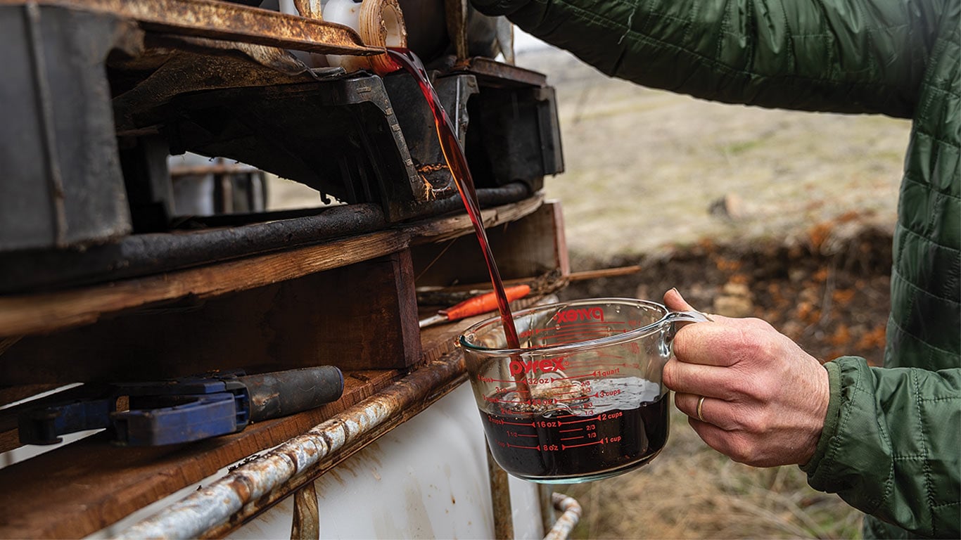A working pouring ground bark extract tannins in to a container.