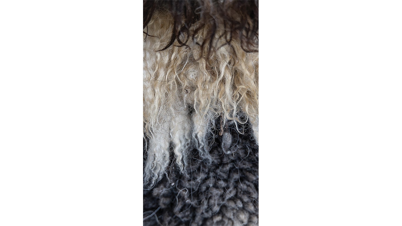 Closeup of different custom tanning hides.