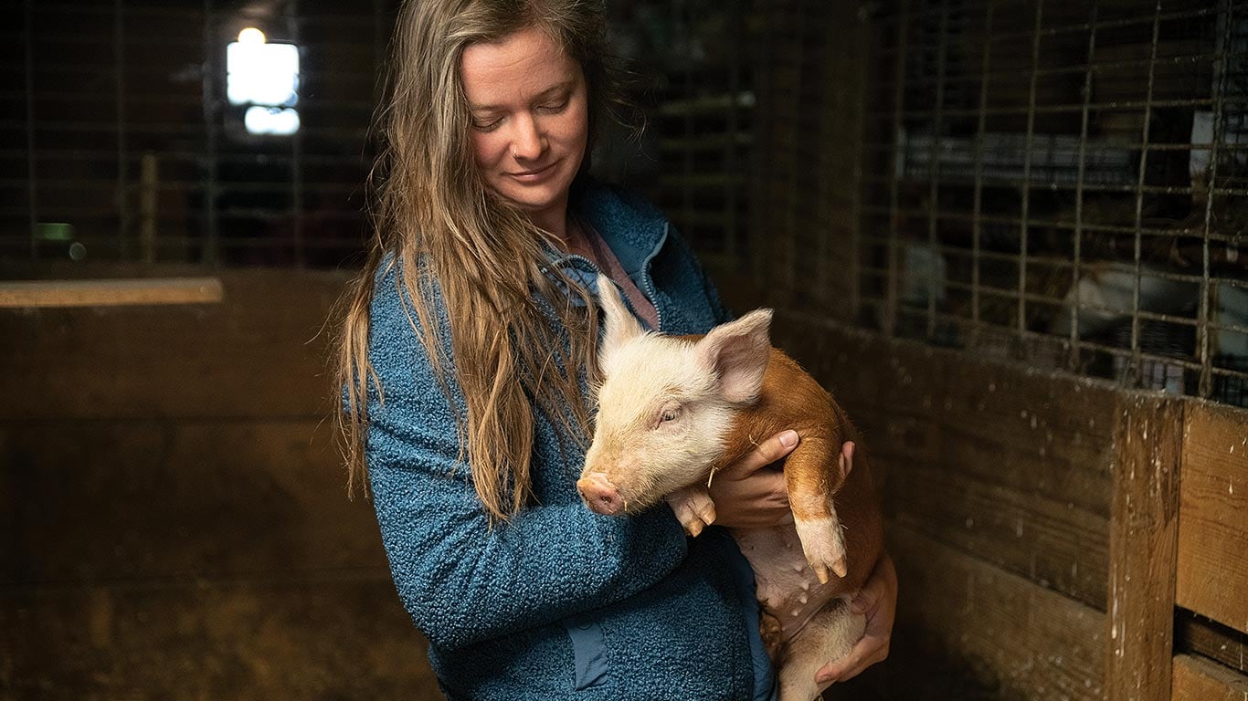 A person holding a pig inside a barn.