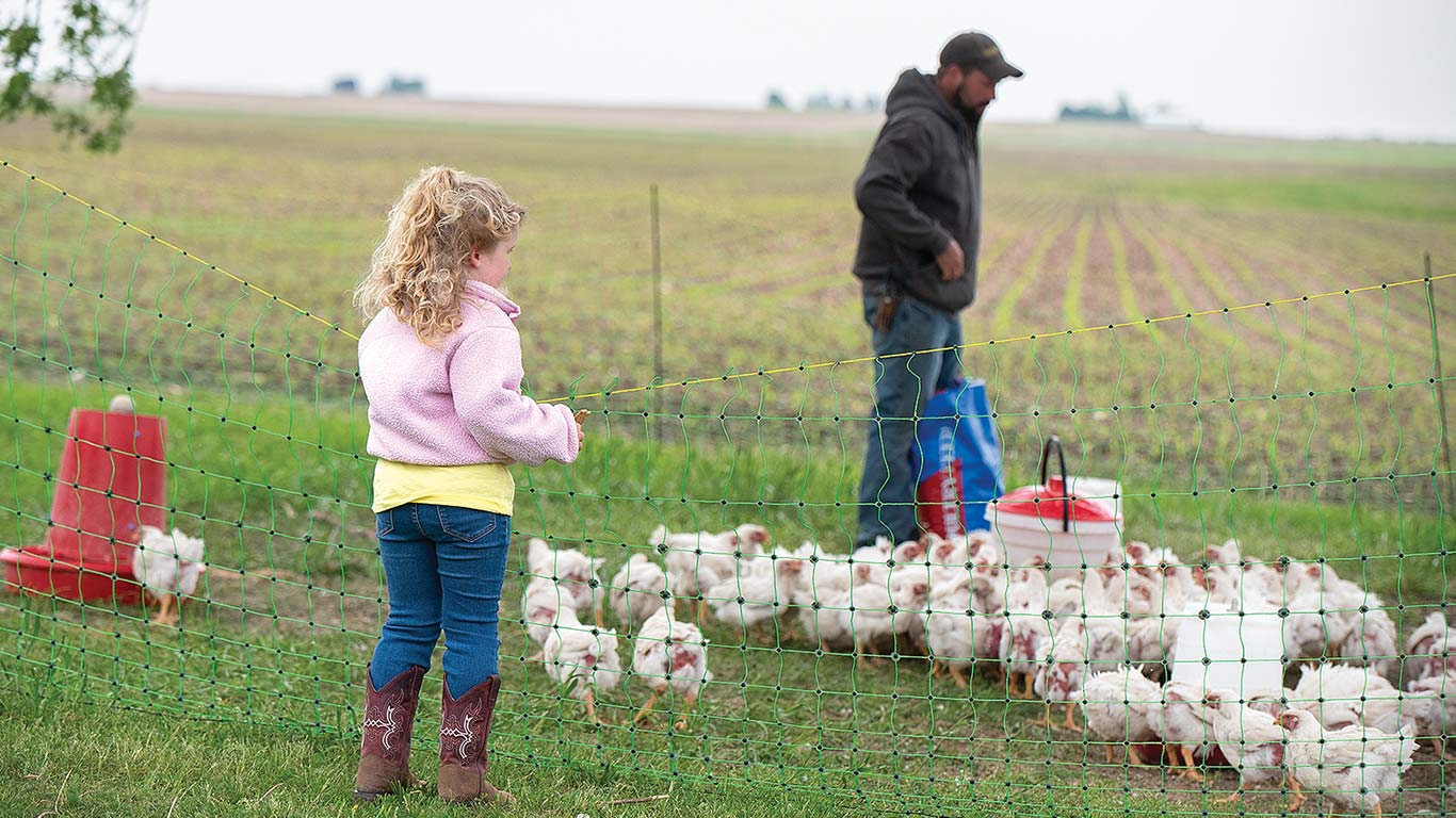 A person and a child checking chickens on grass.