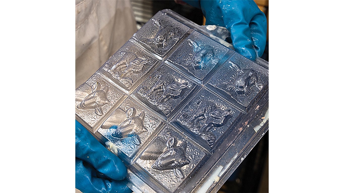 A close-up of a person holding a textured mold with nine animal designs.