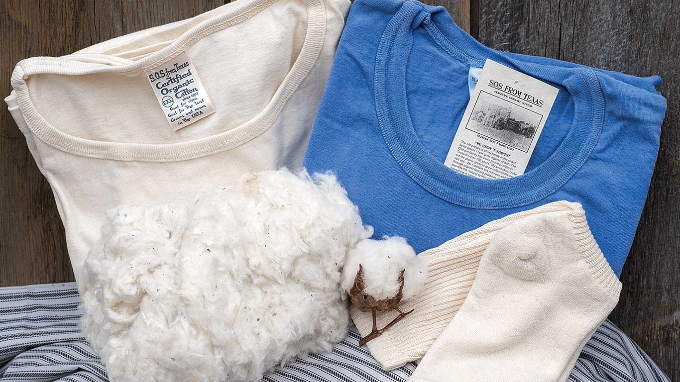 Organic cotton shirts in cream and blue with socks and raw cotton on a striped fabric background.