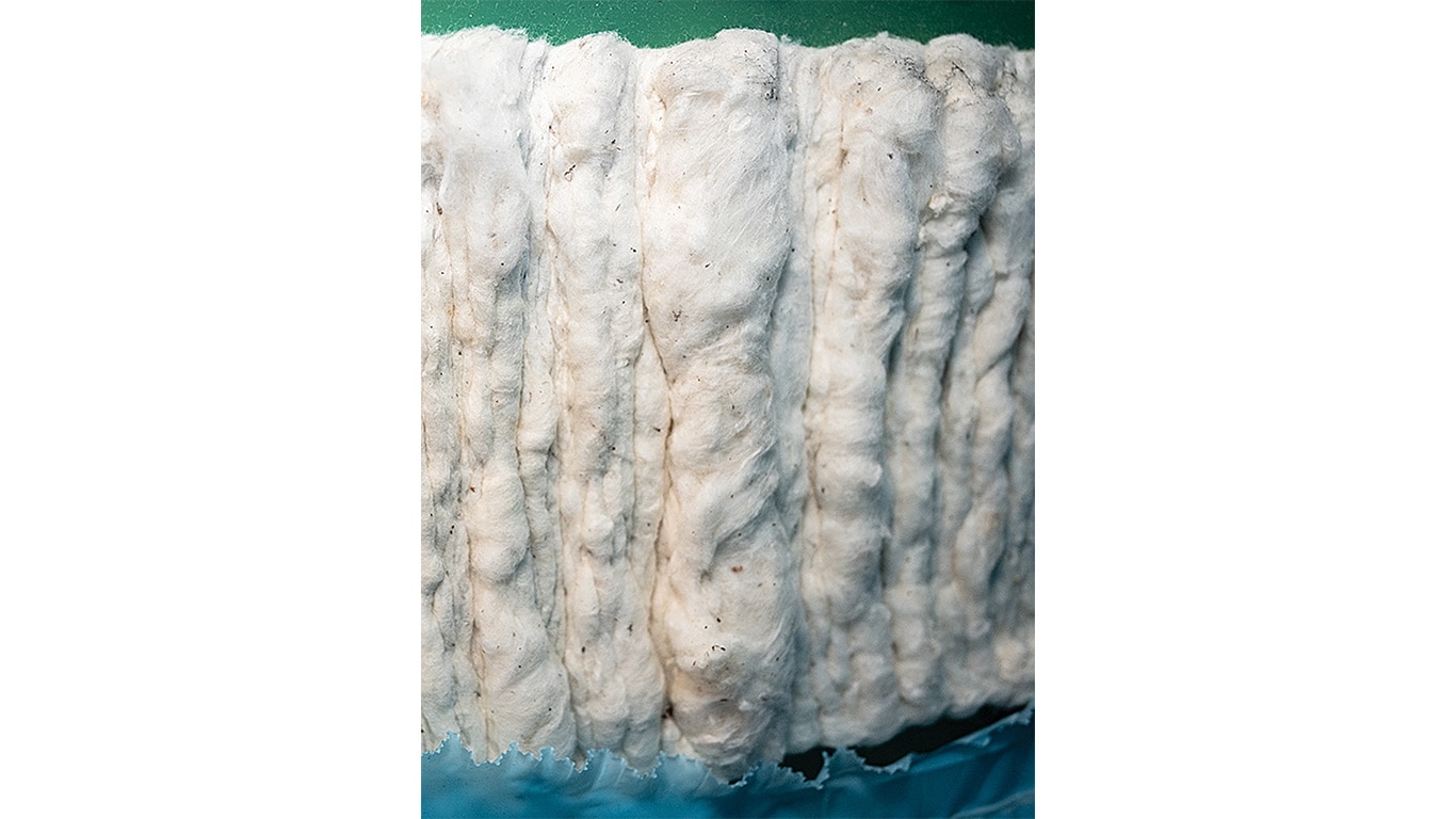 Close-up of raw cotton fibers packed in rows against a green surface.