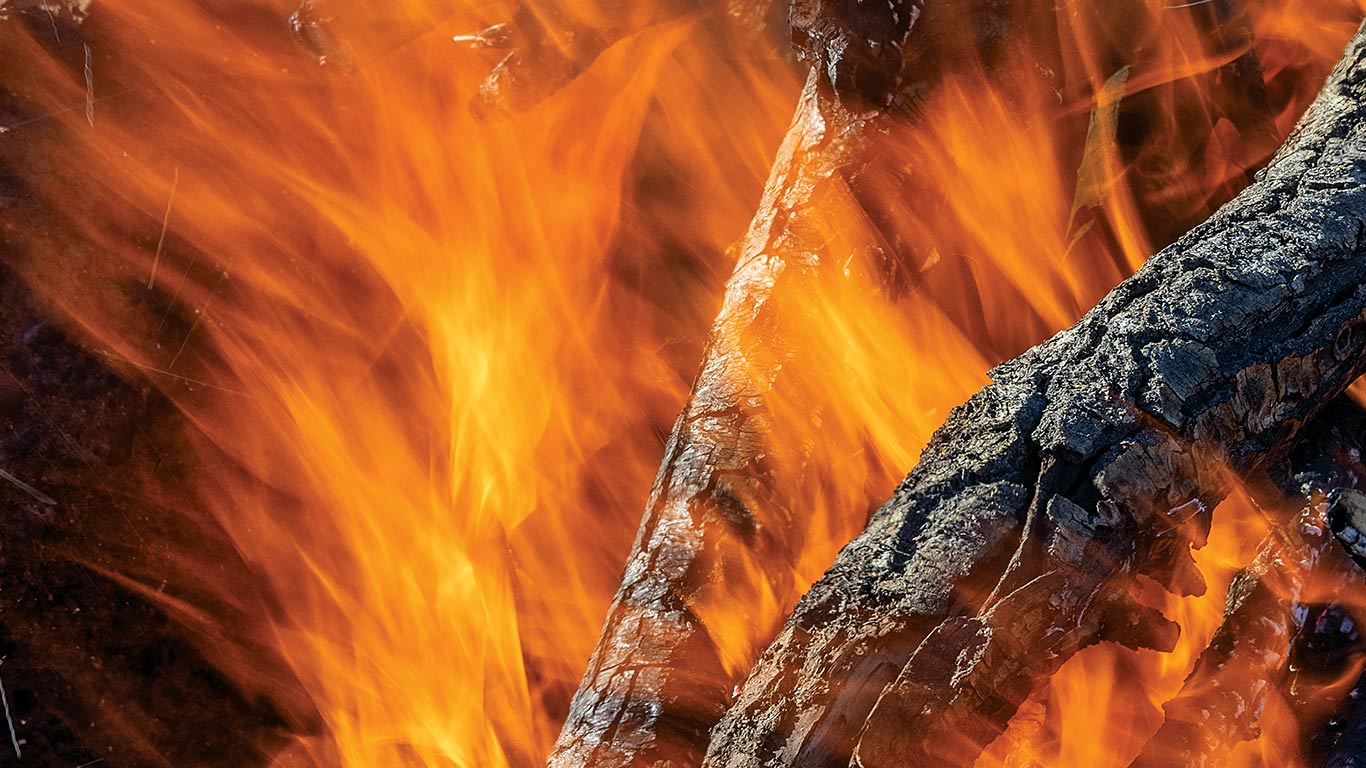 Close-up of bright orange flames burning charred logs in a campfire.