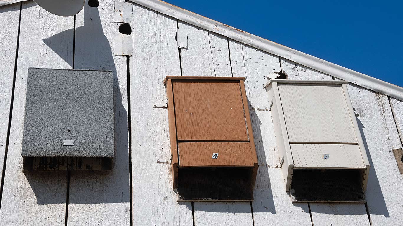 Three weathered wooden bat boxes in gray, brown, and white on white wall, blue sky background.