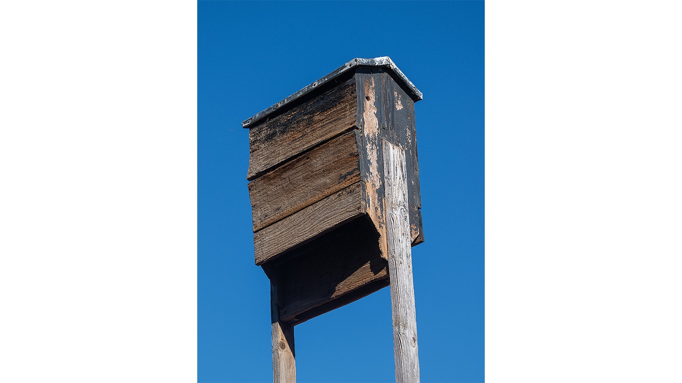 Weathered wooden bat box on tall posts with clear blue sky in background.