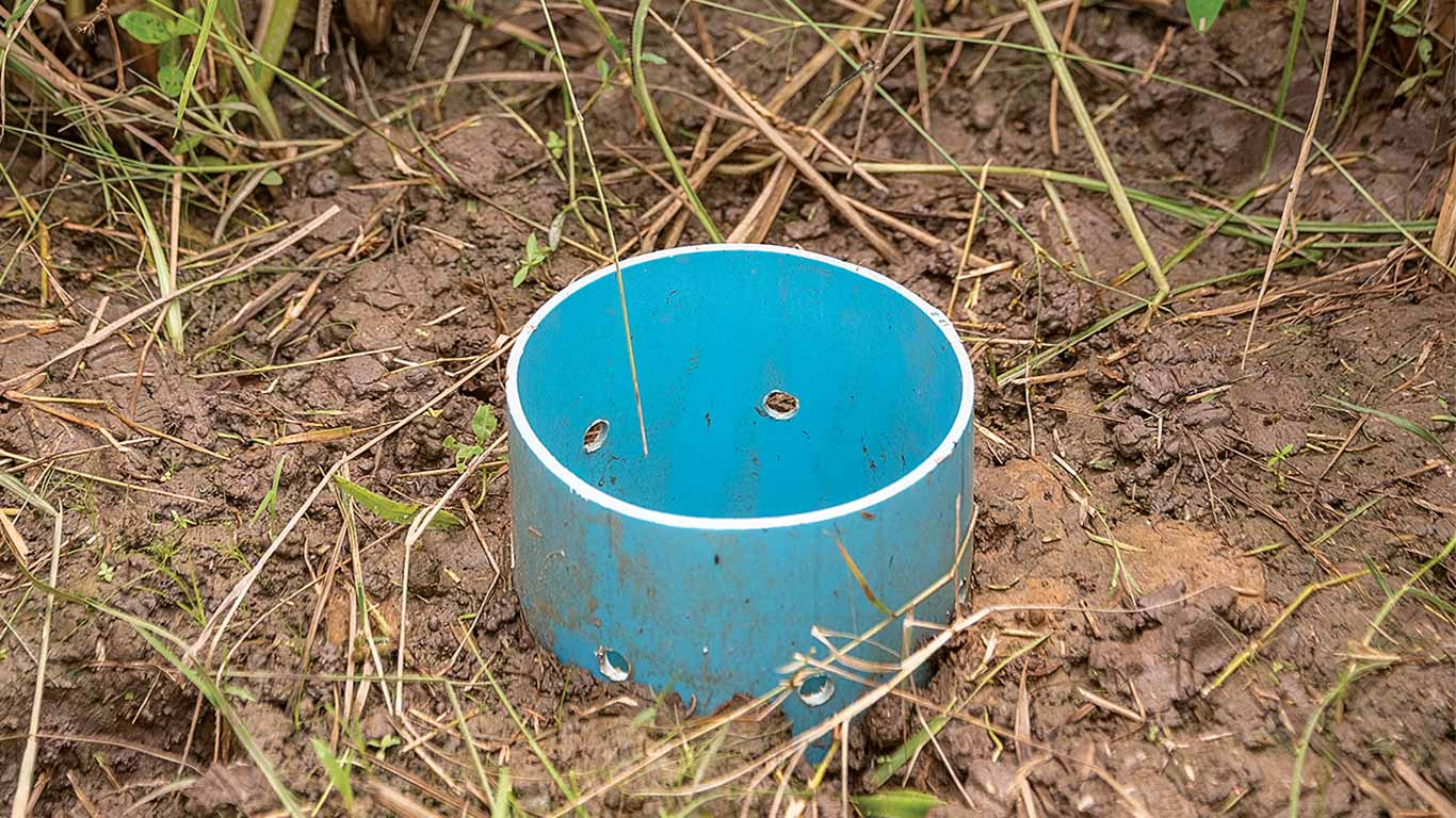 Blue PVC pipe in dirt