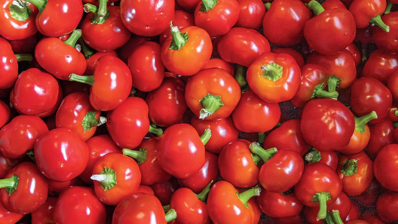 Close-up of small round red peppers, each with a green stem.
