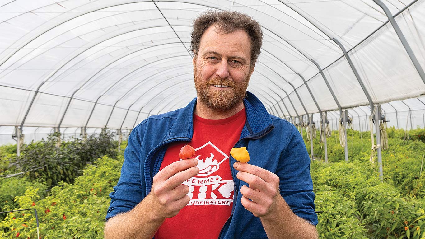 Person standing in a greenhouse holding two peppers.