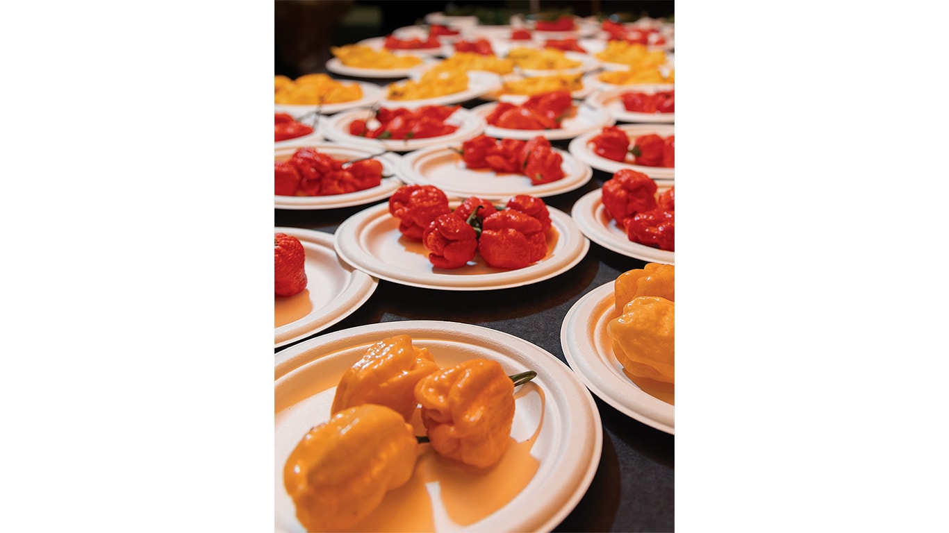 A variety of colorful yellow, red, and orange peppers displayed on white paper plates, arranged artfully on a table.