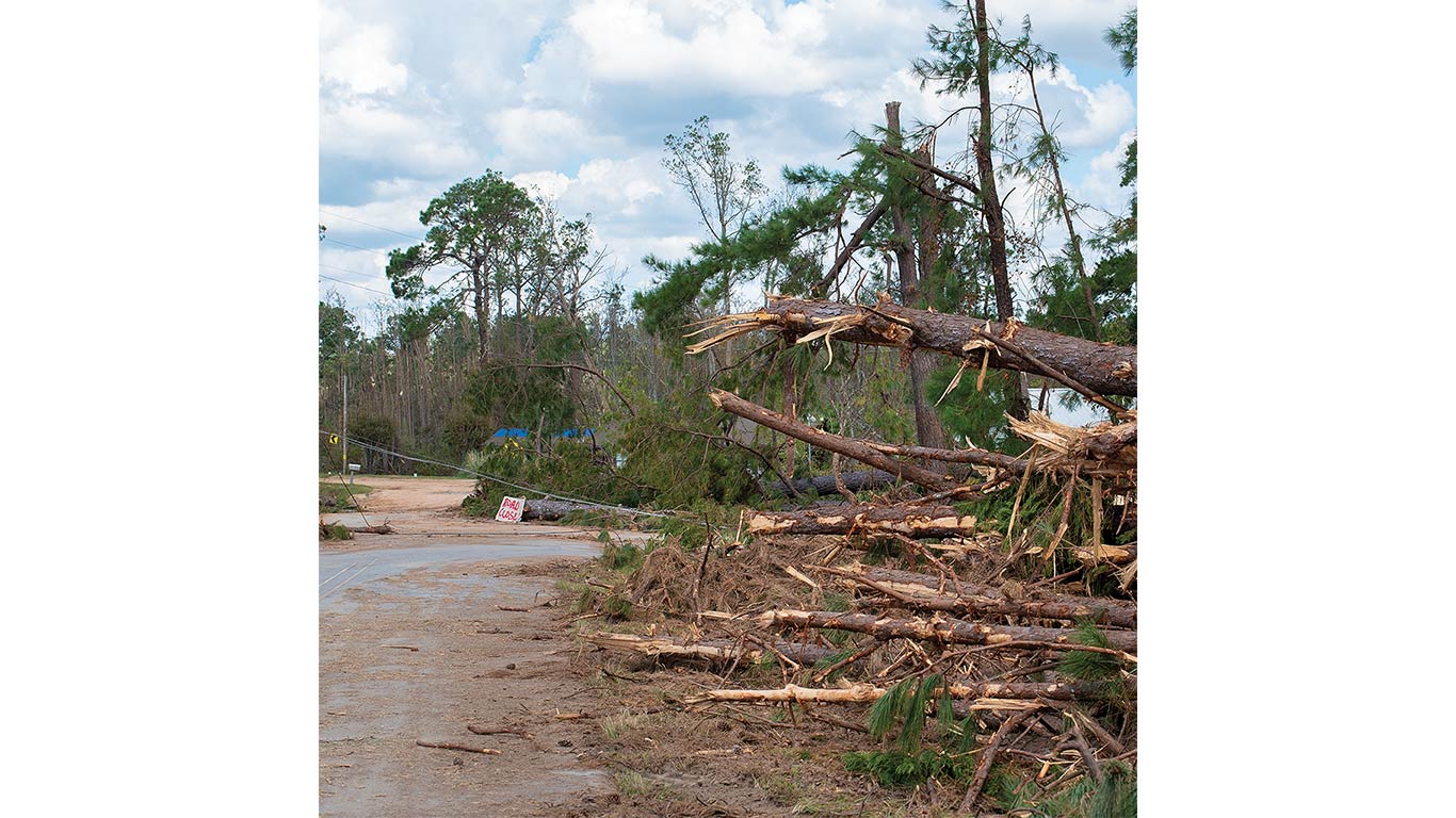 Fallen trees and debris block road after storm, with broken branches and uprooted trunks.