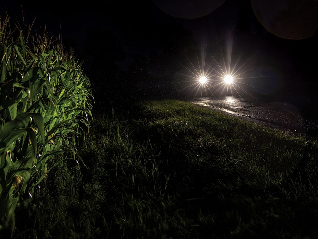 Car headlights illuminating a cornfield at night, with light reflecting on a wet road and grass in the foreground.