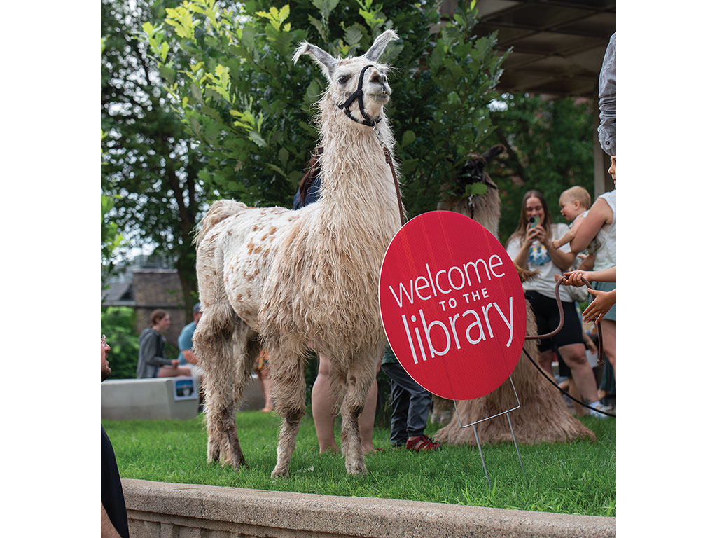 A llama stands next to a "Welcome to the library" sign outdoors.