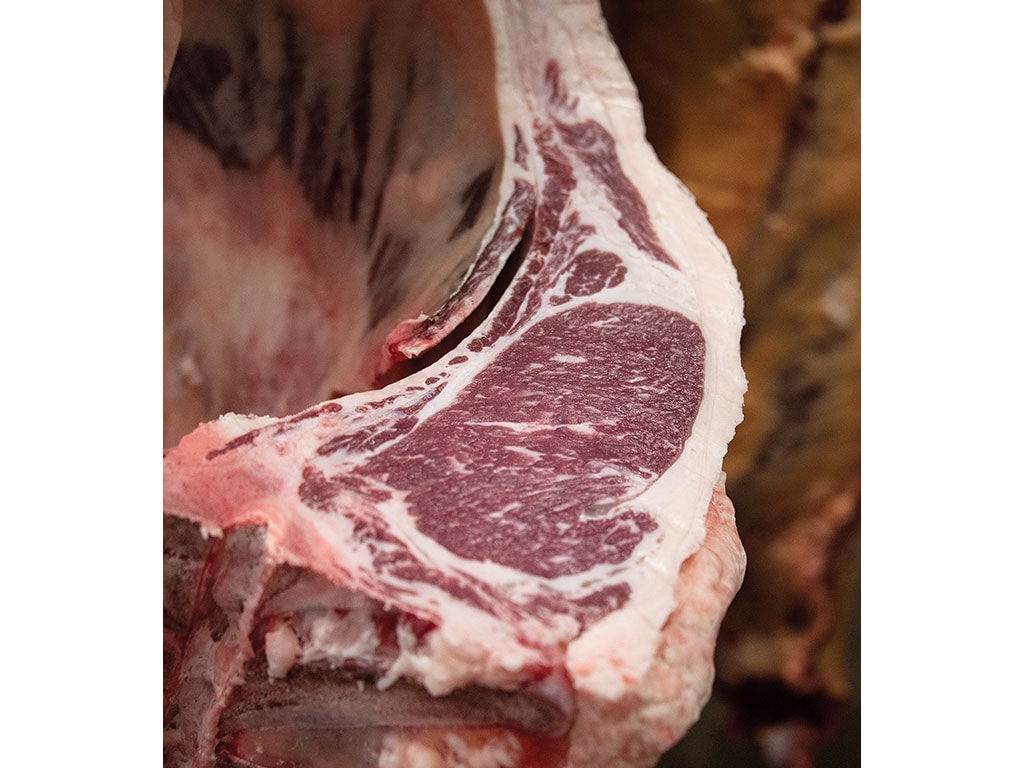Closeup of fresh cut huge piece of beef