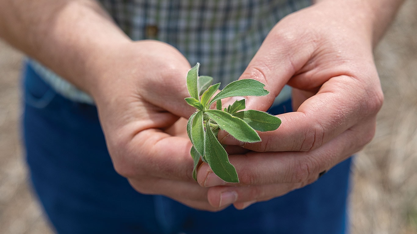 Hands gently holding a small green plant with blurred background