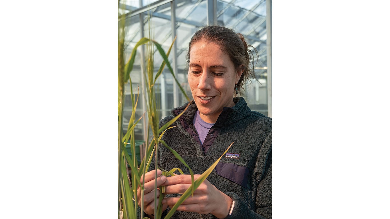 Woman with a smile looking at barley leaf holding in her hand.