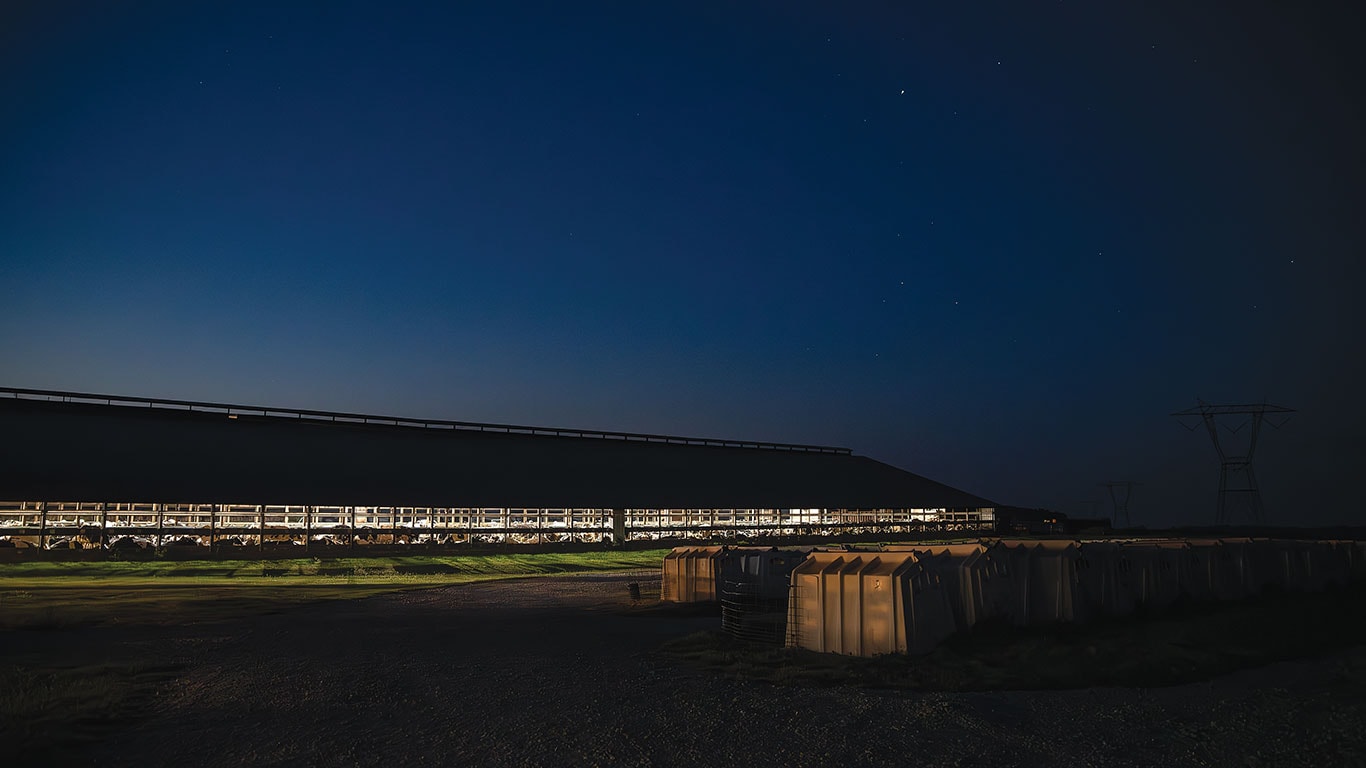 Large dairy farm lit up at night under starry sky