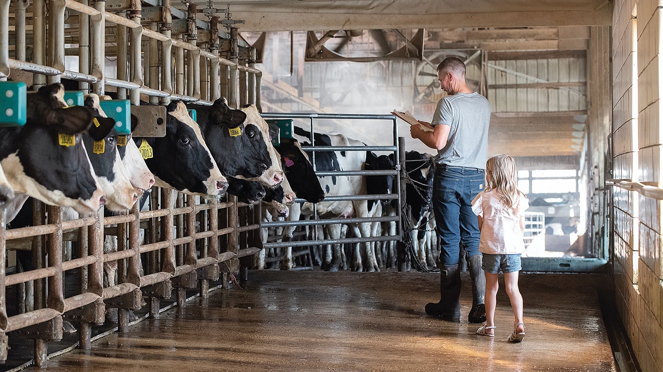 A farmer with a girl child making a note of cattle's with colored tag on their ears.