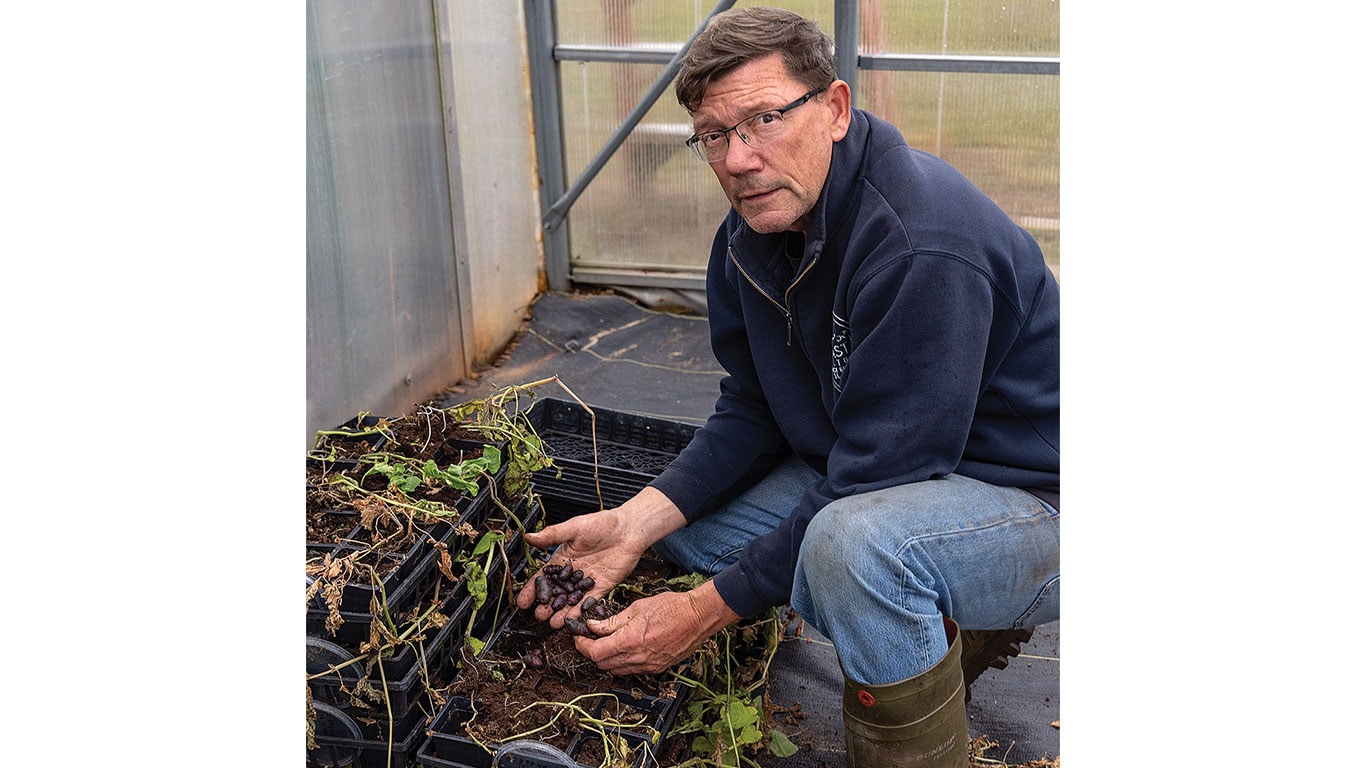 Person holding a clear container with plant samples in a lab, near shelves of similar containers.
