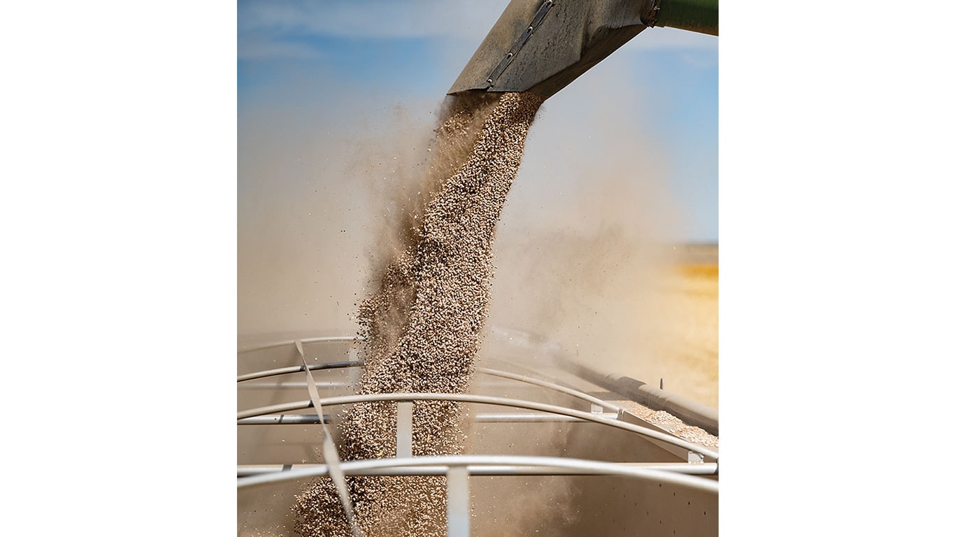 Person holding a clear container with small green plants in a lab near shelves of similar containers.