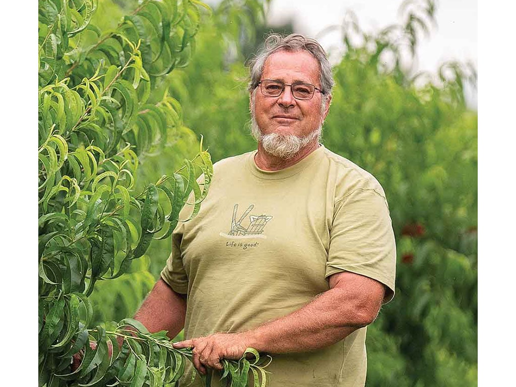 A person stands among lush greenery, holding a branch, wearing a light green t-shirt.