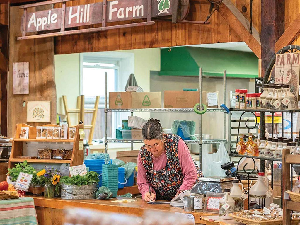 A quaint farm store interior with shelves of goods, a wooden counter, and a woman in a floral apron.