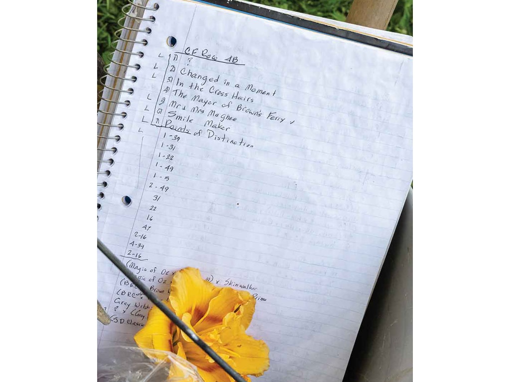 An open notebook written with daylily flower and pen on top of paper
