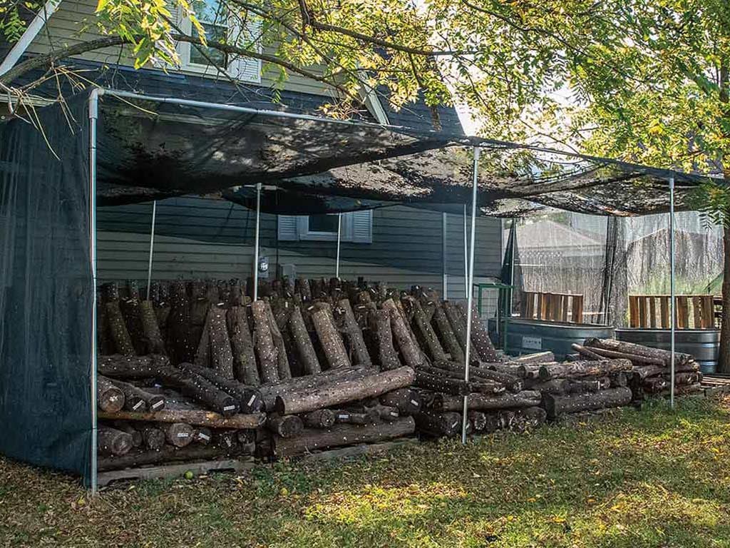 A shaded area in a backyard contains neatly stacked logs, protected from the elements under a mesh cover.