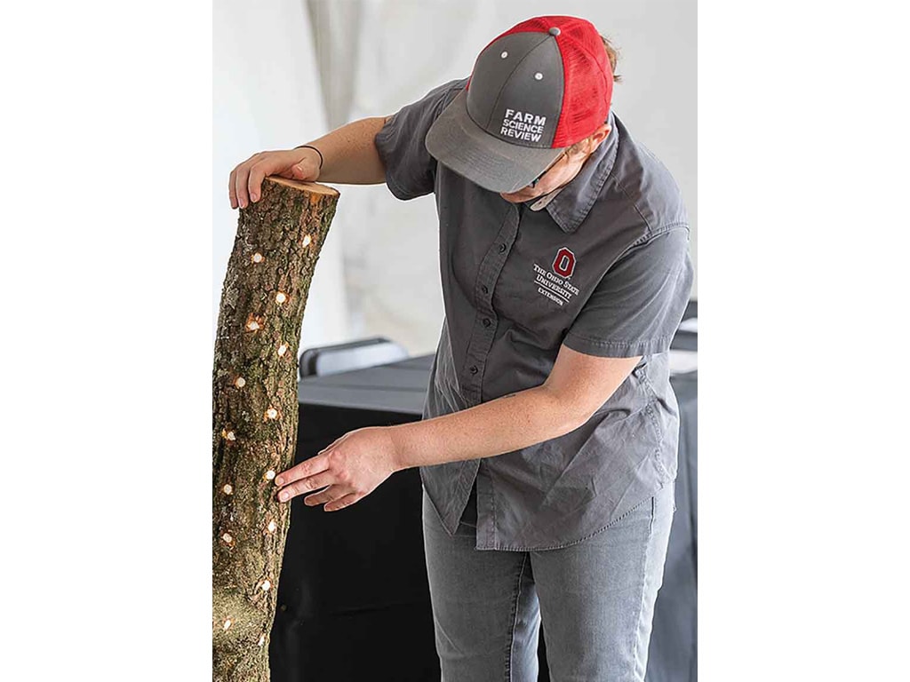 A person in a gray shirt and red cap demonstrates lighting on a wooden log at an event.