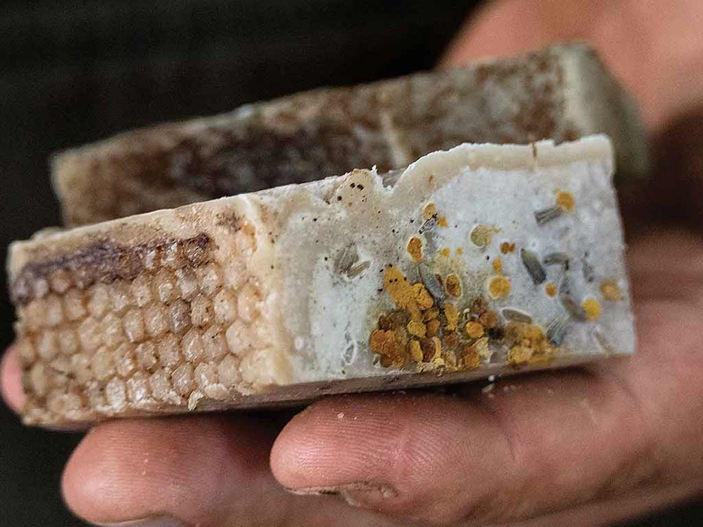 A hand holds a slab of honeycomb soap, revealing a textured, natural surface with specks of herbs and pollen.