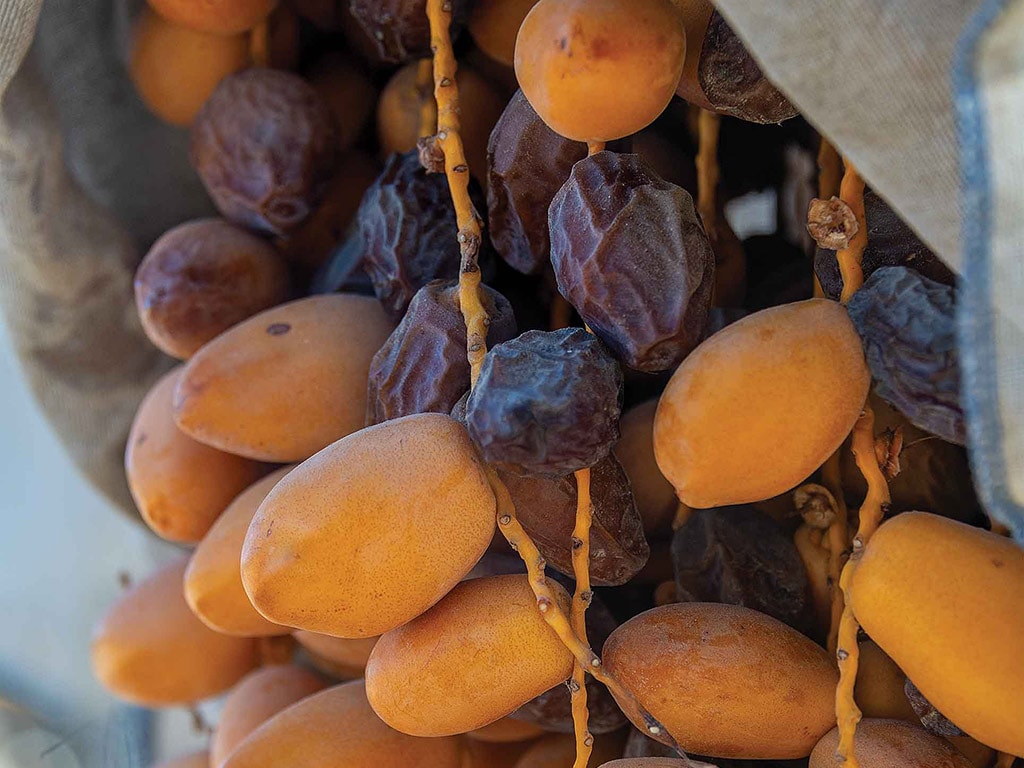 Close-up of a cluster of dates